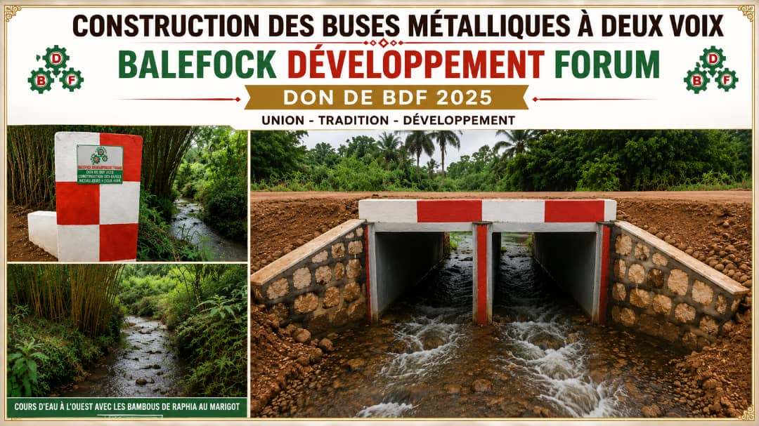 Construction des Buses M&eacute;talliques &agrave; Deux Voies (Fiela-Tsaa)